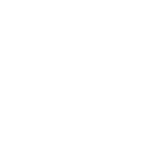 Career Coaching